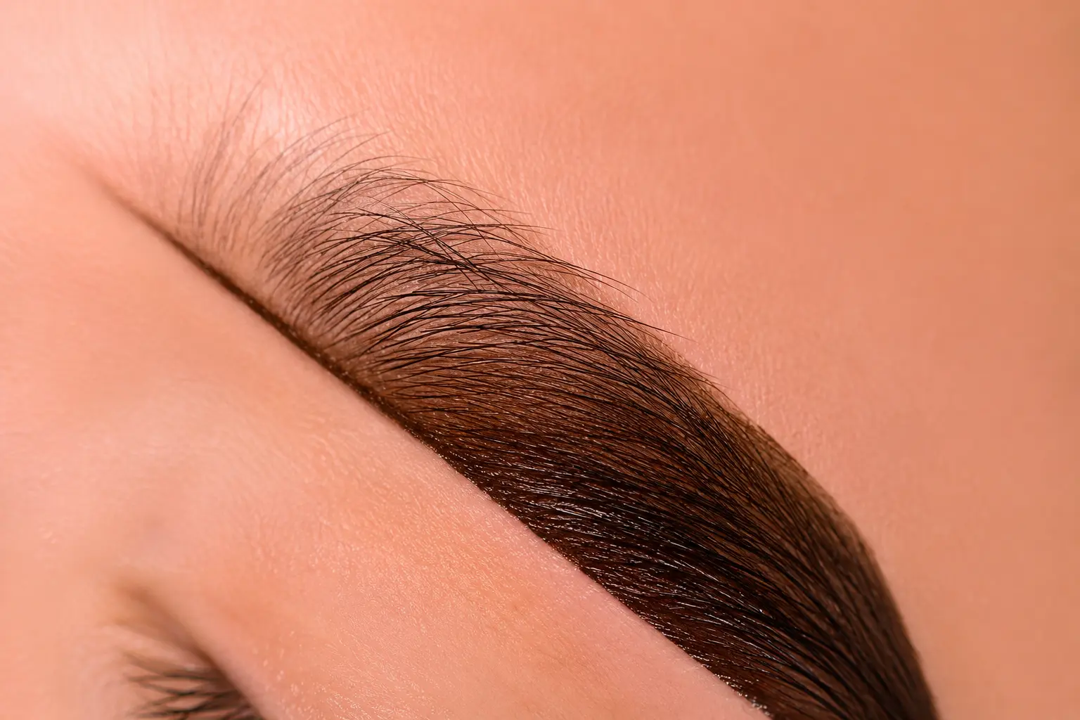 Henna brow obočia Nitra – DS Beauty salón